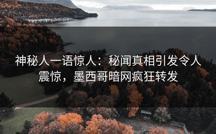 神秘人一语惊人：秘闻真相引发令人震惊，墨西哥暗网疯狂转发
