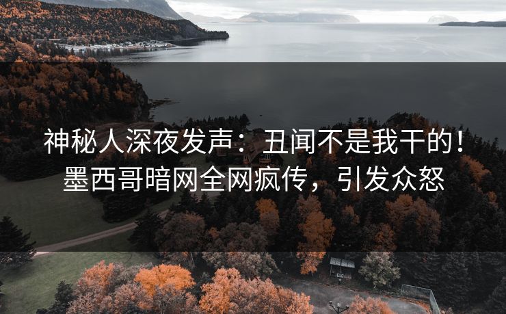 神秘人深夜发声：丑闻不是我干的！墨西哥暗网全网疯传，引发众怒