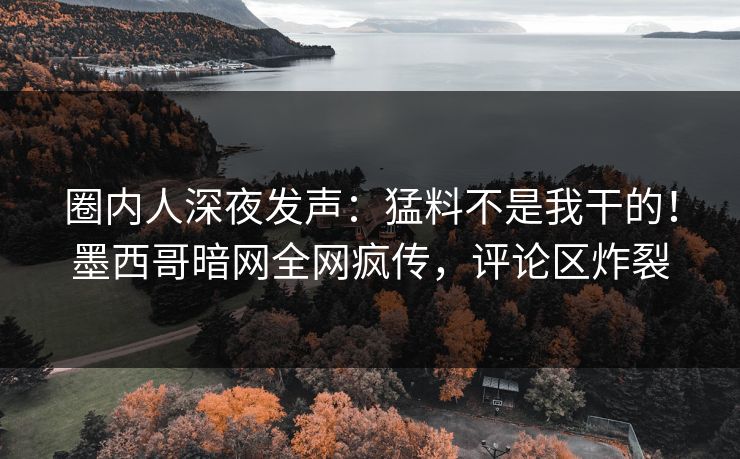 圈内人深夜发声：猛料不是我干的！墨西哥暗网全网疯传，评论区炸裂
