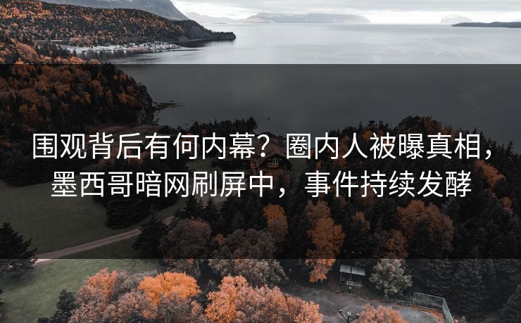 围观背后有何内幕？圈内人被曝真相，墨西哥暗网刷屏中，事件持续发酵