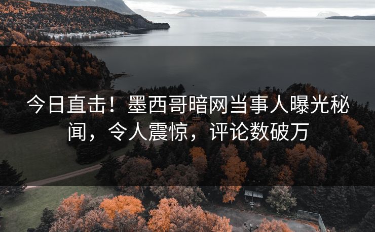 今日直击！墨西哥暗网当事人曝光秘闻，令人震惊，评论数破万