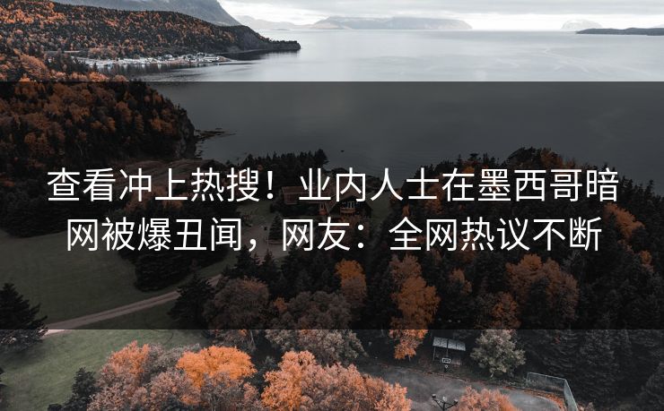 查看冲上热搜！业内人士在墨西哥暗网被爆丑闻，网友：全网热议不断