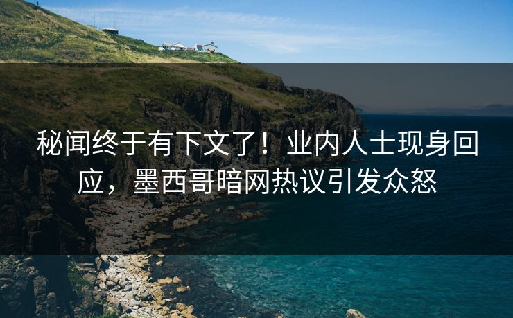 秘闻终于有下文了！业内人士现身回应，墨西哥暗网热议引发众怒