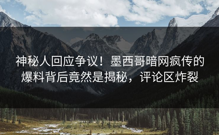 神秘人回应争议！墨西哥暗网疯传的爆料背后竟然是揭秘，评论区炸裂