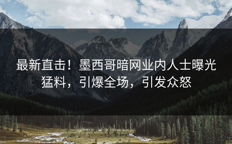 最新直击！墨西哥暗网业内人士曝光猛料，引爆全场，引发众怒