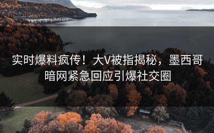 实时爆料疯传！大V被指揭秘，墨西哥暗网紧急回应引爆社交圈
